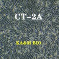 CT-2A细胞(小鼠神经胶质瘤细胞)Millipore-SCC194来源