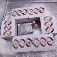 人胸肾表达趋化因子(BRAK/CXCL14)ELISA检测试剂盒提供代测服务