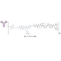 PF-06647020 单克隆抗体（IgG1）-连接子-微管抑制剂（Aur0101）靶向PTK7的ADC抗体药物偶联物 1869937-48-3