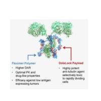 靶向NaPi2b的ADC药物 IgG抗体-连接子-细胞毒性药物AF-HPA(XMT-1536/Upifitamab Rilsodotin)