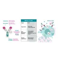 MGTA-117 靶向CD117的ADC偶联药物