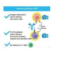 XMT-2056 靶向HER2的ADC抗体药物偶联物