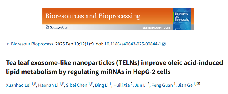 茶叶TELNs究竟如何调节miRNAs？不仅为脂质代谢“撑腰”，还能让肝细胞“一键开挂”