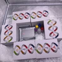 人巨噬细胞集落刺激因子受体(M-CSFR)ELISA检测试剂盒提供代测服务