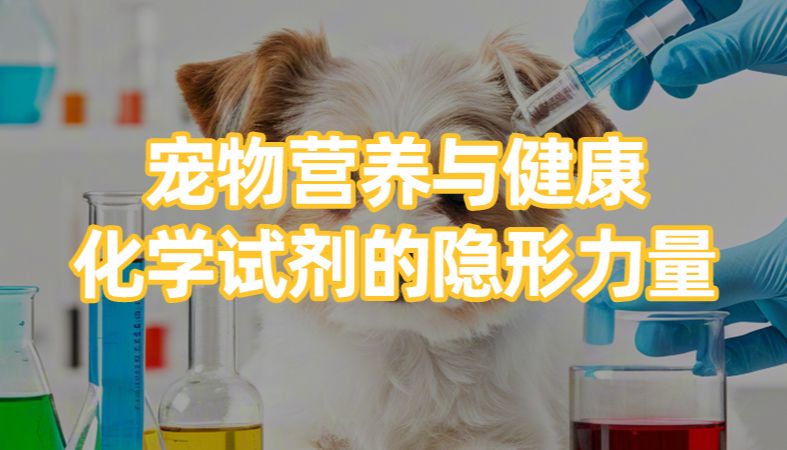【魏氏试剂】宠物营养与健康：化学试剂的隐形力量