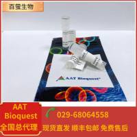 iFluor 555马来酰亚胺 货号1063