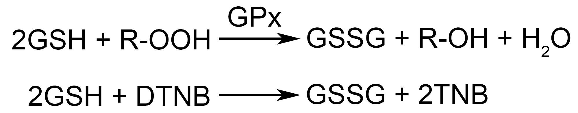 谷胱甘肽过氧化物酶检测试剂盒(DTNB法)