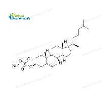 Cholesterol Sulfate (CAS号：2864-50-8)