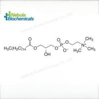 1-Palmitoyl-2-hydroxy-sn-glycero-3-PC (CAS号：17364-16-8)