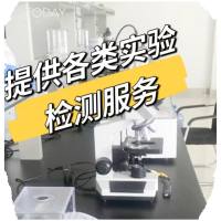 茜素红染色实验检测