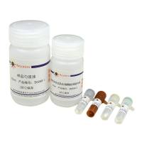 谷胱甘肽过氧化物酶检测试剂盒