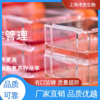 人舌鳞癌细胞 CAL 27