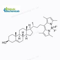 BODIPY-Cholesterol (CAS号:878557-19-8)