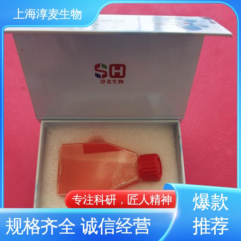 人乳腺导管癌细胞HCC1599