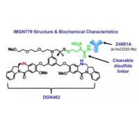 靶向CD33的ADC抗体药物偶联物 Z4681A通过二硫键偶联（IGN）药物形成IMGN779/DGN-462 1394079-41-4