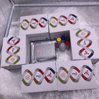 人白介素2受体(IL-2R)ELISA检测试剂盒提供代测服务