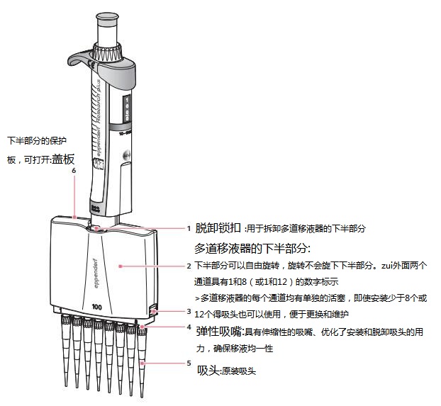 实验操作：实验中如何正确使用移液器