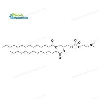 DMPC (CAS号：18194-24-6)