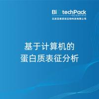 基于计算机的蛋白质表征分析