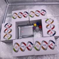 人B-淋巴细胞趋化因子1(BLC-1/CXCL13)ELISA检测试剂盒提供代测服务