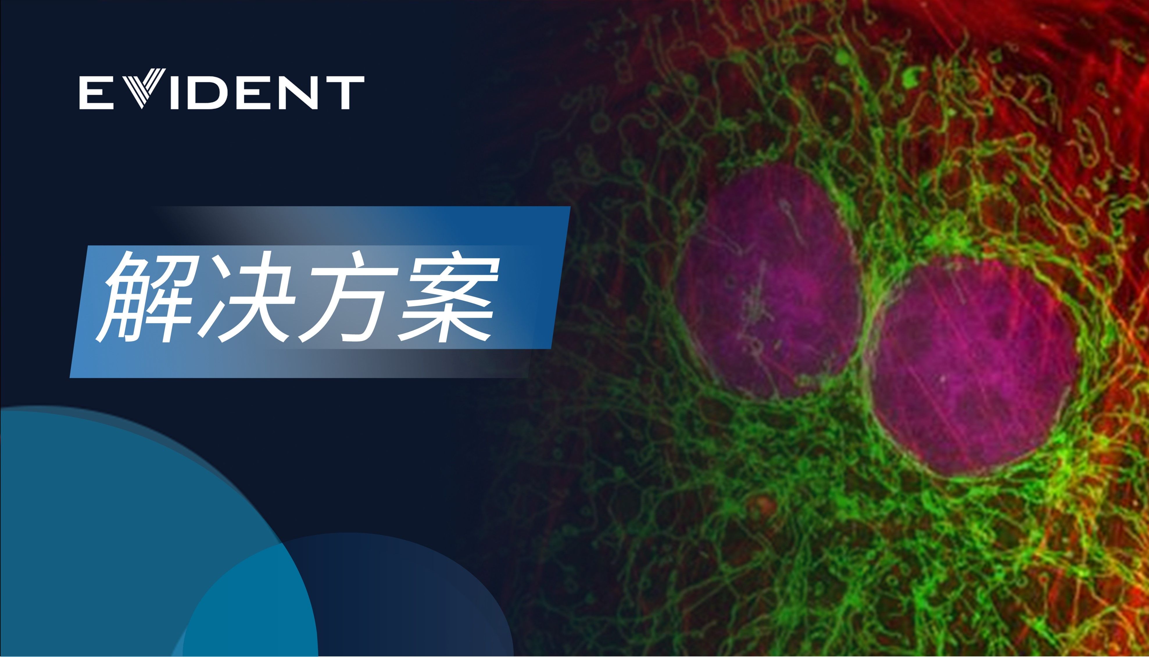 双旗舰系列物镜：工程创新力量，赋能前沿科研