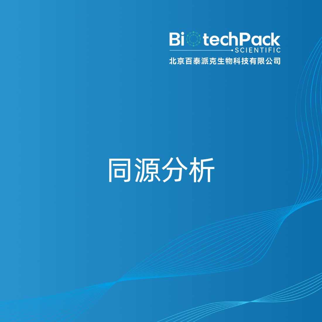 同源分析