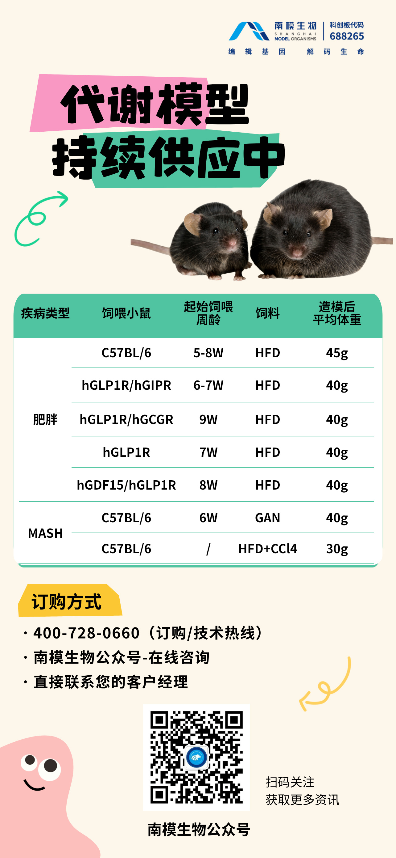 南模代谢模型小鼠，持续供应中