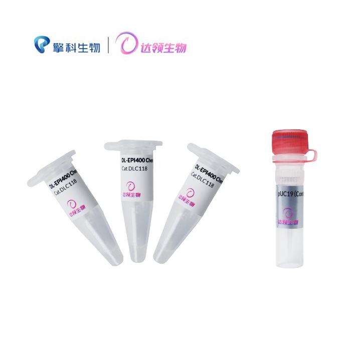 DL-EPI400感受态细胞 DL-EPI400 Chemically Competent Cell