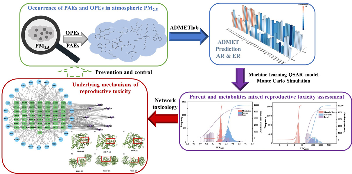 网络毒理学分析 #分子动力学模拟 