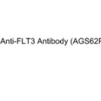 单克隆抗体通过连接子偶联细胞毒性微管蛋白抑制剂AGL0182-30组成ADC抗体药物偶联物AGS62P1/Anti-FLT3 Antibody