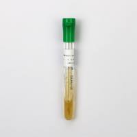 白色念珠菌CMCC(F)98001（二代斜面）