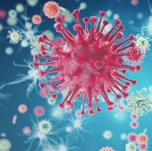 LV-EF1a-Cre-CMV-GFP-P2A-Puro