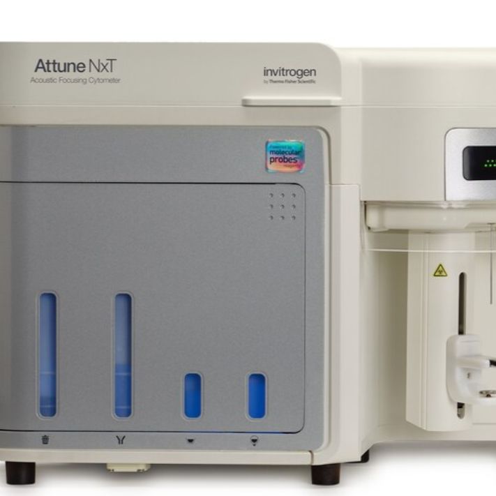Thermofisher Attune NXT 声波聚焦流式细胞仪