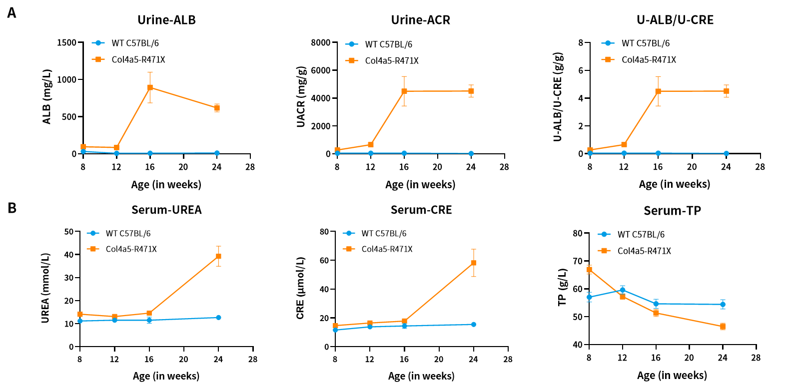 慢性肾病中的隐匿杀手——Alport综合征