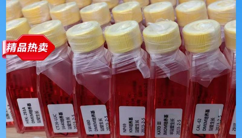 人主动脉平滑肌细胞永生化技术应用案例分享