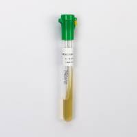 金黄se葡萄球菌CMCC(B)26003（二代斜面）