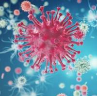 LV-EF1a-Puro-CMV-Luciferase