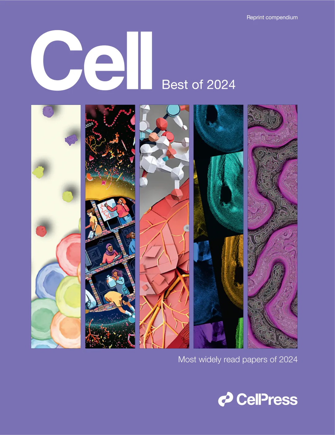 STTT深度综述癌症中乳酸化的作用、机制及临床应用前景