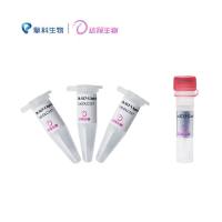 DL-S17-1 λpir感受态细胞 DL-S17-1 λpir Chemically Competent Cell