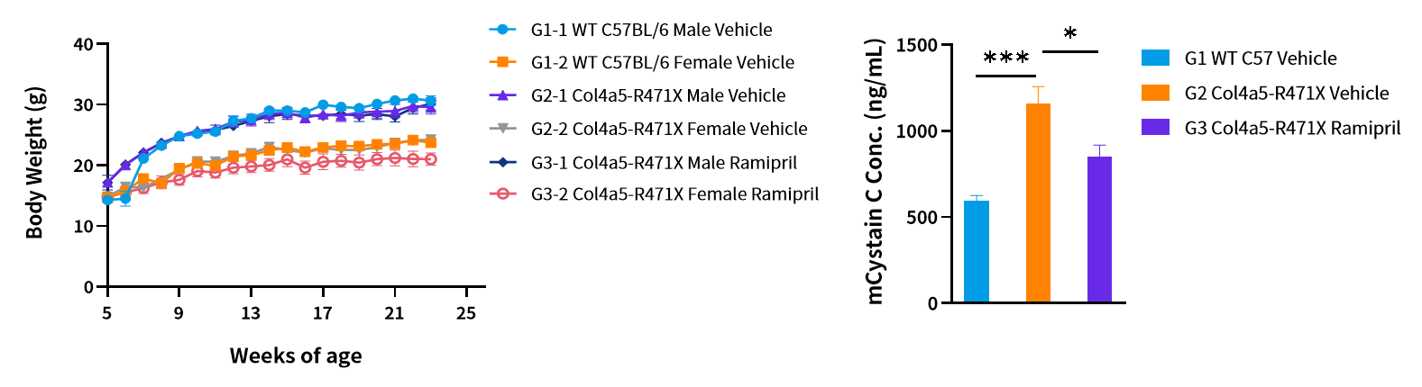 慢性肾病中的隐匿杀手——Alport综合征