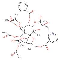 雷公藤碱|37239-51-3|Wilfordine