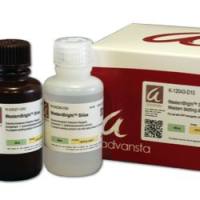 美国Advansta公司蛋白质分析试剂