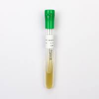 乙型副伤han沙门氏菌CMCC(B)50094（二代斜面）