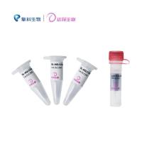 DL-AGL1感受态细胞 DL-AGL1 Chemically Competent Cell