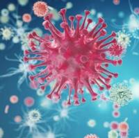 LV-U6-shRNA(scramble)-CMV-Luciferase-P2A-Puro