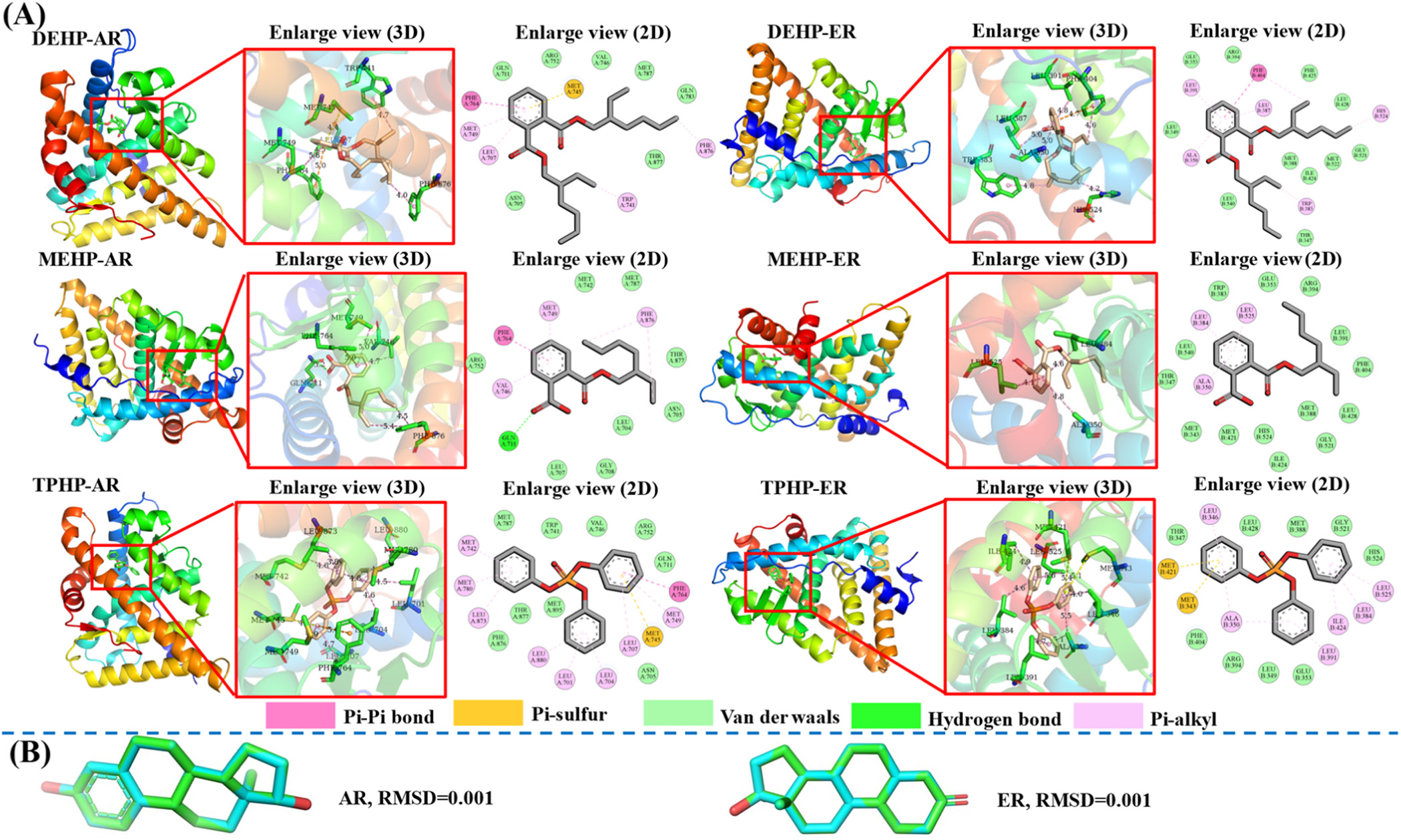 网络毒理学分析 #分子动力学模拟 