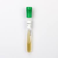 枯草芽孢杆菌CMCC(B)63501（二代斜面）