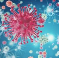 STAT3-Luc报告基因慢病毒