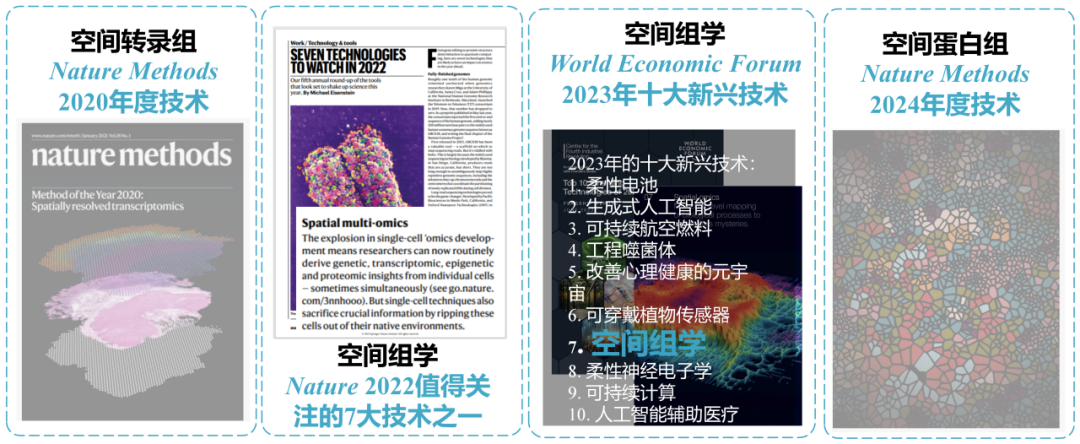 2024年度技术“闹海”归来，空间蛋白质组学为组织样本研究“踩上风火轮”