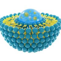 DSPE-SS-PEG-RGD  RGD-PEG-SS-DSPE   磷脂-二硫键-聚乙二醇-环肽